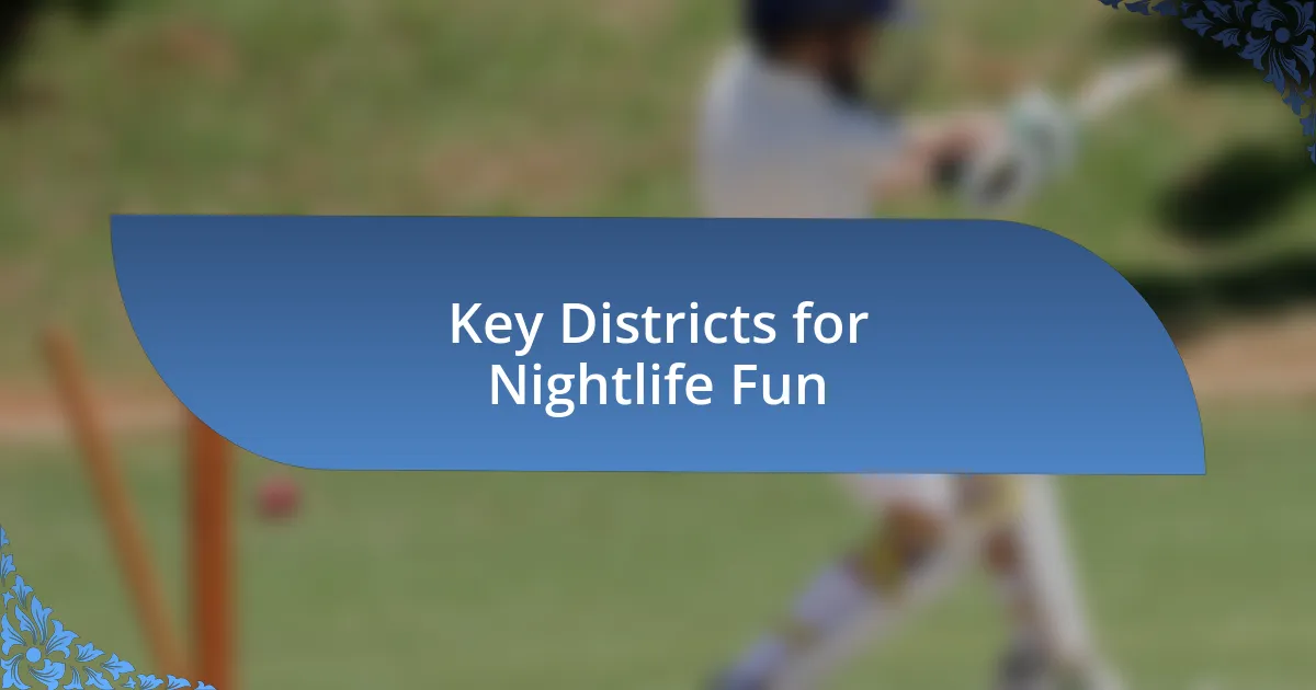 Key Districts for Nightlife Fun