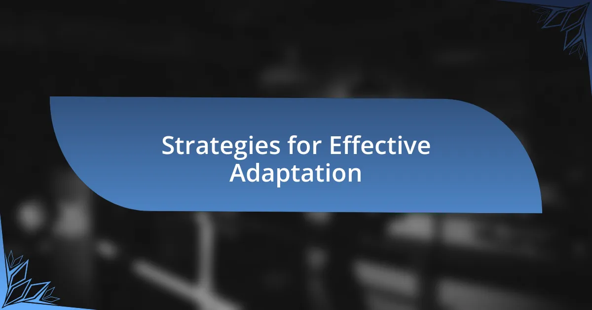 Strategies for Effective Adaptation